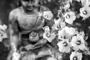 Guide pour choisir le pendentif et collier bouddha idéal