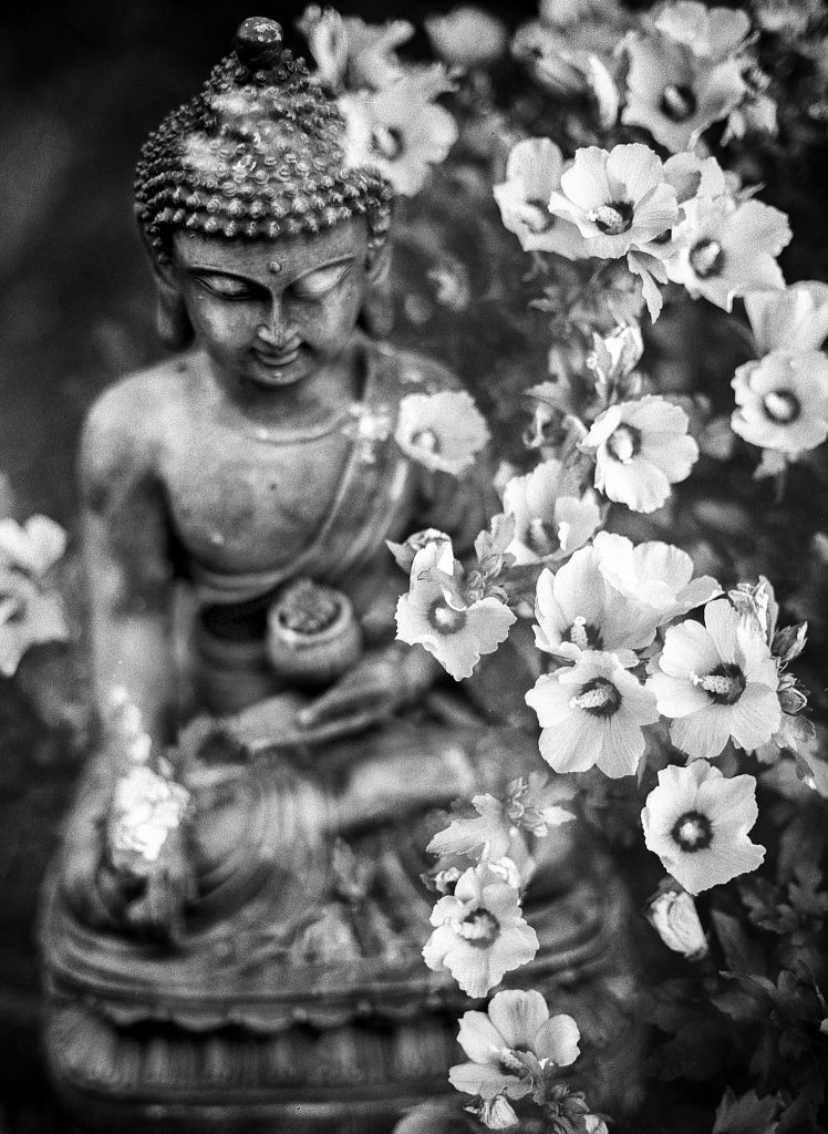 Guide pour choisir le pendentif et collier bouddha idéal